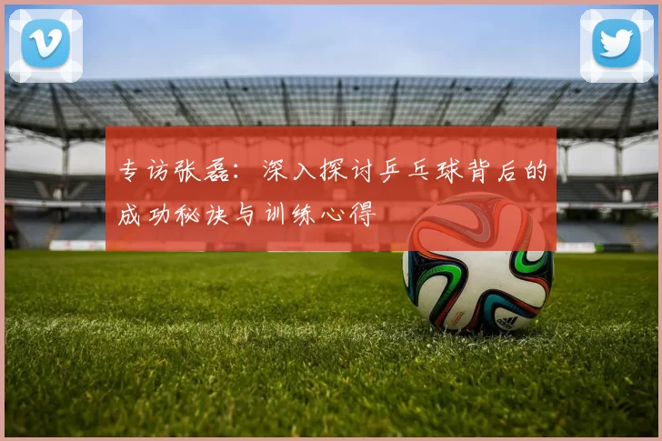 专访张磊：深入探讨乒乓球背后的成功秘诀与训练心得