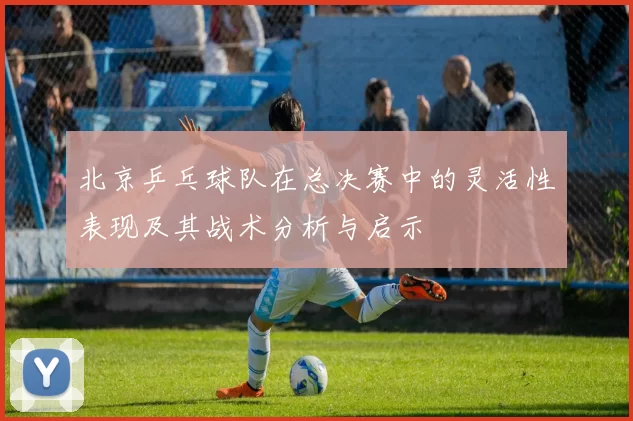 北京乒乓球队在总决赛中的灵活性表现及其战术分析与启示