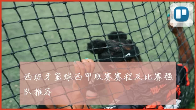 西班牙篮球西甲联赛赛程及比赛强队推荐