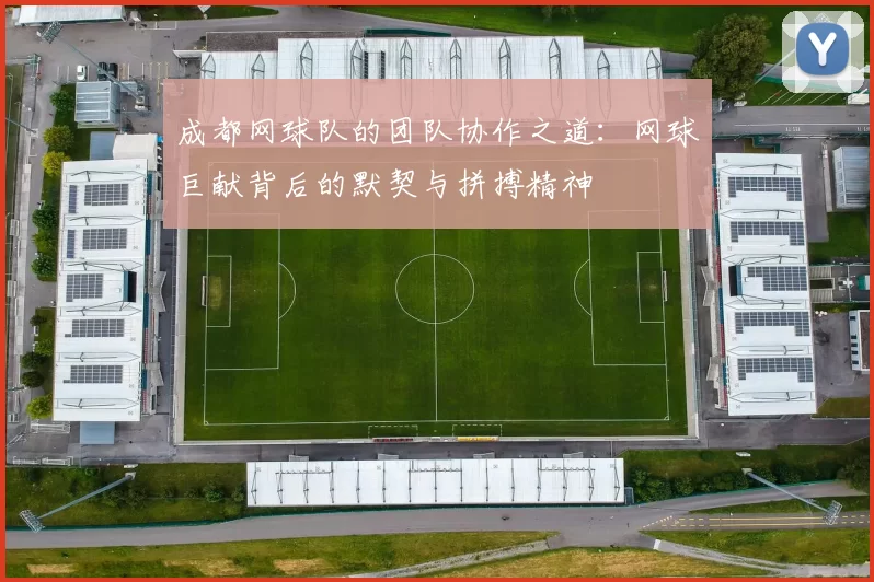 成都网球队的团队协作之道：网球巨献背后的默契与拼搏精神
