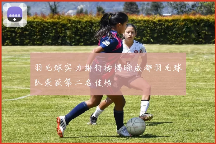 羽毛球实力排行榜揭晓成都羽毛球队荣获第二名佳绩
