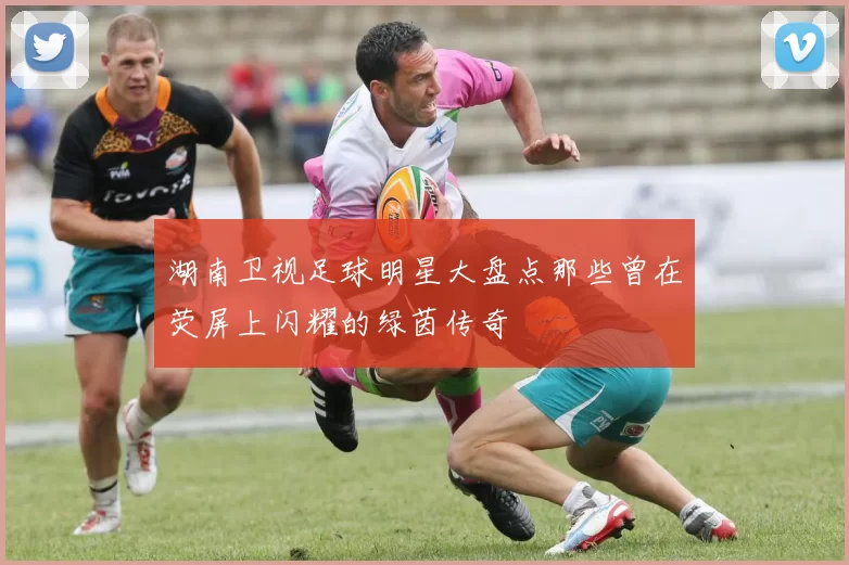 湖南卫视足球明星大盘点那些曾在荧屏上闪耀的绿茵传奇