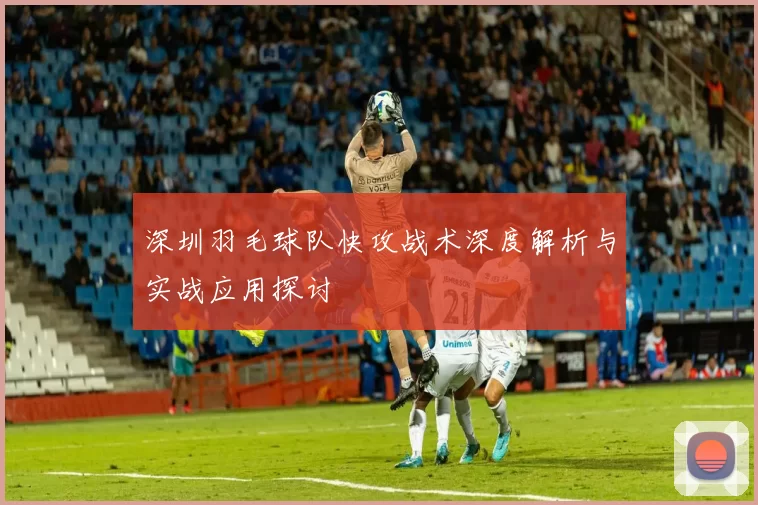 深圳羽毛球队快攻战术深度解析与实战应用探讨