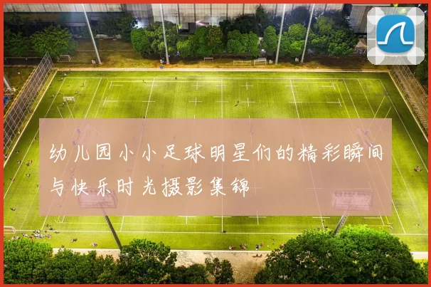 幼儿园小小足球明星们的精彩瞬间与快乐时光摄影集锦