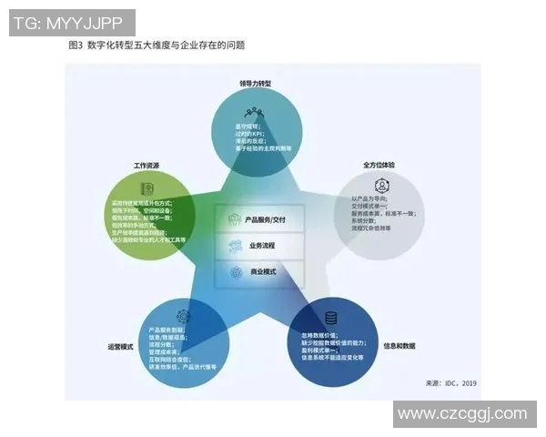 深圳滑板队的转型之路:得失与挑战的深度剖析