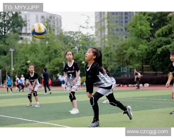 聚焦排球：探讨成都排球队在意识形态与团队精神建设中的重要性与影响